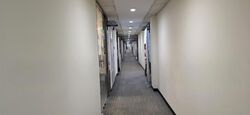 Lucky Plaza (D9), Retail #554254151